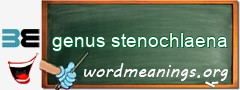 WordMeaning blackboard for genus stenochlaena